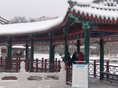 -西海子公园