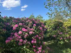 -名花谷生态庄园