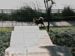 -美兰湖景区
