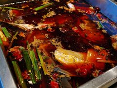 -聚乐城火锅(仁寿2023年餐饮名店)