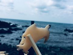 -龙头岩(Dragon Head Rock)