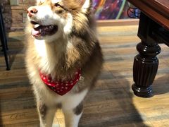 -玩坞轰趴馆·户外团建聚会主题生日派对馆(世豪广场店)