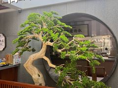 -高玛纳驴肉火烧(河间总店)