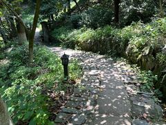 -莫干山风景区
