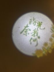-奈瑞儿美养院