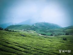 -东白山