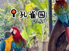 -西双版纳傣族园