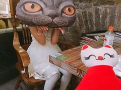 -猫色咖啡·猫咖