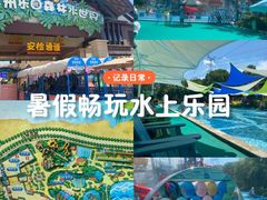 -苏州乐园森林水世界