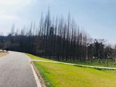 -宜兴龙背山森林公园