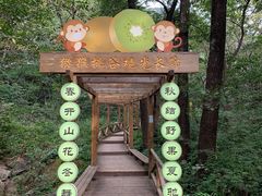 -大岭沟猕猴桃谷风景区
