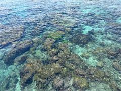 -三亚西岛海洋文化旅游区