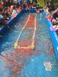 -萌宠亲子动物乐园(槐房万达店)