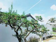 -成都院坝精品私汤民宿酒店