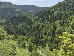 -芦芽山旅游度假区
