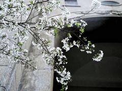 -梅园食堂