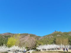 -十三陵水库