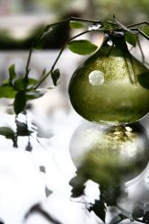 店内环境-老黑造型