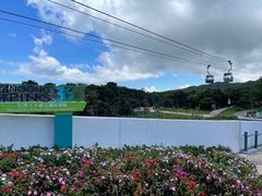 -昂坪360缆车