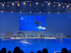 -石家庄市动物园