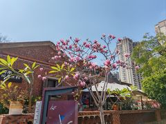 -晋江五店市传统文化旅游区