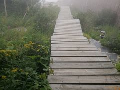 -白草畔自然风景区