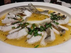 海鲈鱼-太守宴·蘭院(天塔店)