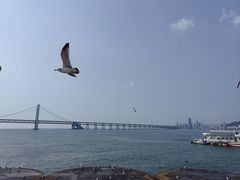 -星海广场