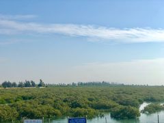 -北海金海湾红树林生态旅游区