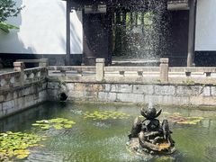 -上海醉白池公园