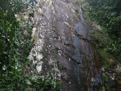 -海南霸王岭国家森林公园