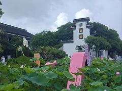 -无锡蠡湖国家湿地公园-蠡园