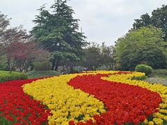 -上海鲜花港