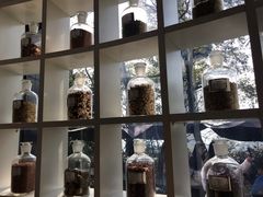 -MAMACHA妈妈茶(岳麓山店)