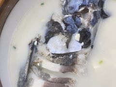 -全乐鱼馆·淳牌有机鱼直营店
