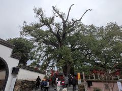 -新安江山水画廊风景区