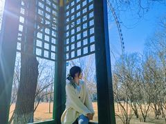 -哈尔滨文化公园