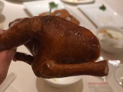 -利苑酒家(华熙国际店)