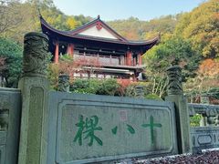 -十八棵（老龙井）御茶园(老龙井店)