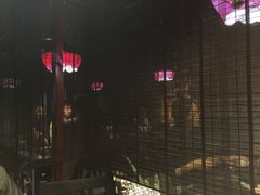 -日本料理神拉面