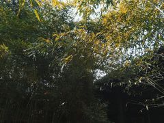 -陕拾叁(袁家村店)