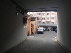 -猫头鹰炸鸡