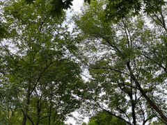 -浙江大学(玉泉校区)