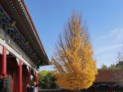 -大明幻境第一城