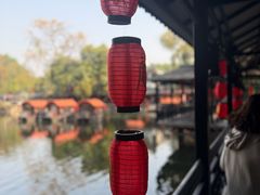 -侨美·唐荔园·40年地道粤菜