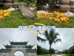 -中山公园