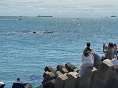 -青岛第二海水浴场