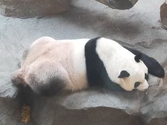 -宁波野生动物园