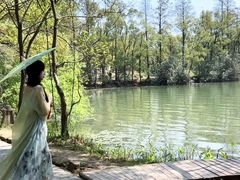 -东湖落雁景区