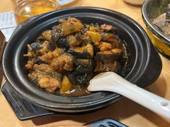 红焖娃娃鱼-汇景花园酒家(基立下道店)